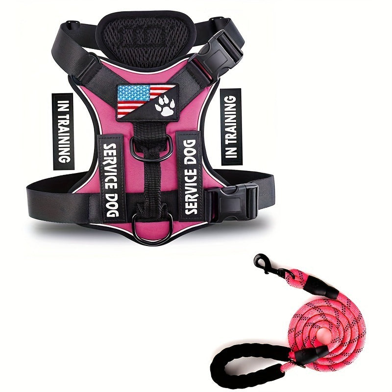 Dog Leash - Harness