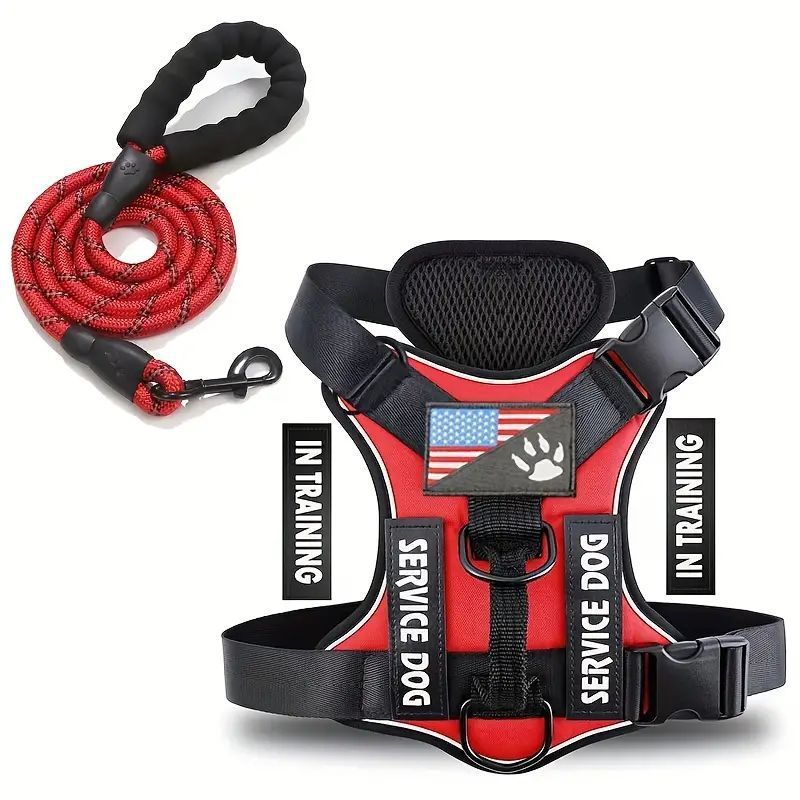 Dog Leash - Harness