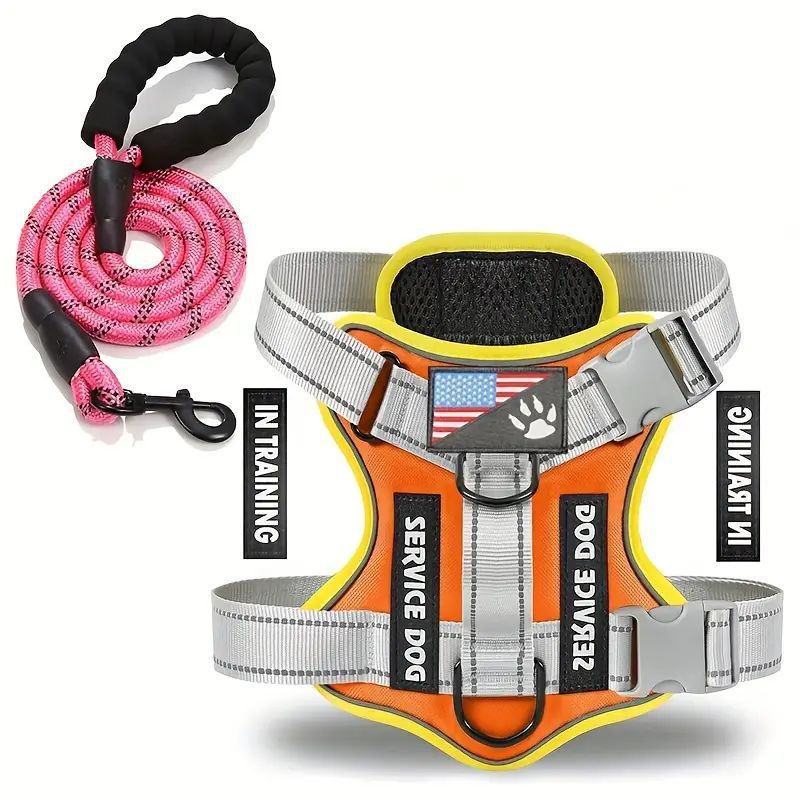 Dog Leash - Harness