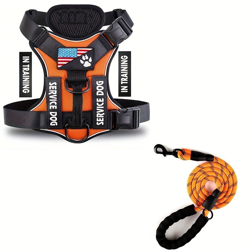 Dog Leash - Harness